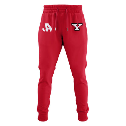 Limited Edition Y-Live Stambaugh Stadium Stadium Tshirt