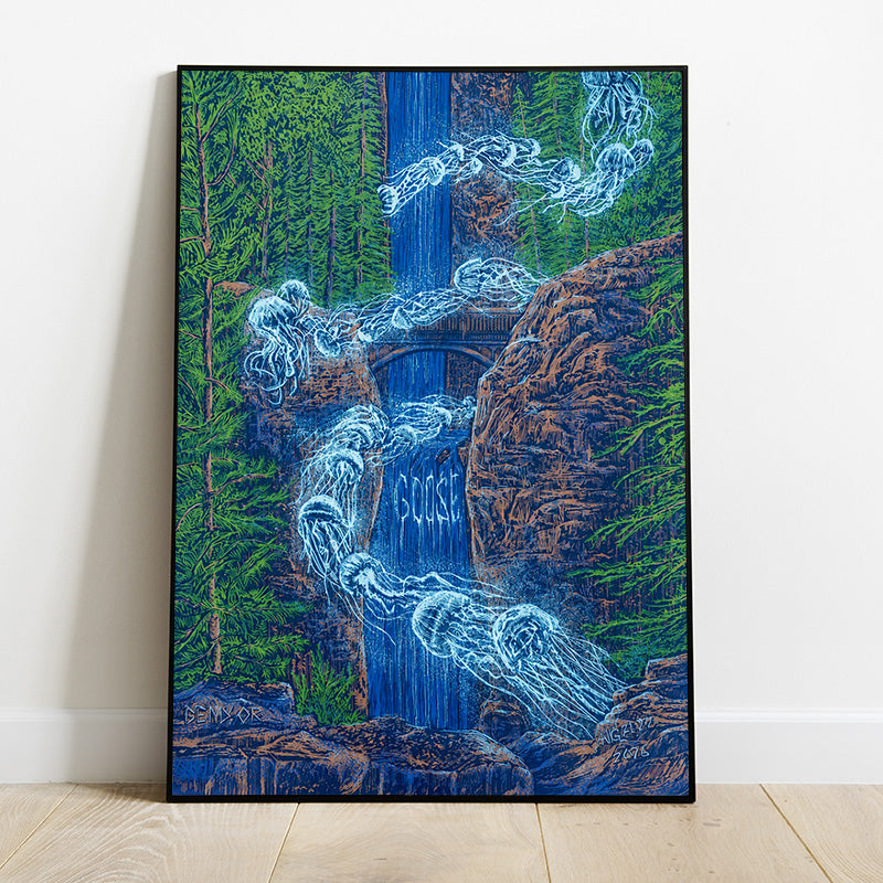 Limited Edition Goose – Big Tour 2026 poster